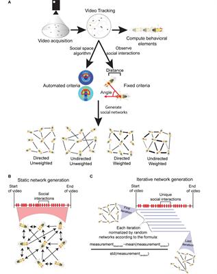 Using Flies to Understand Social Networks